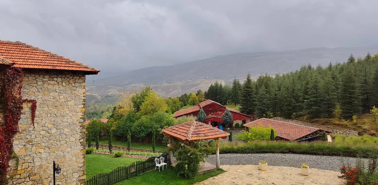 Sisli bir sonbahar gününde bahçe ve çam ormanı